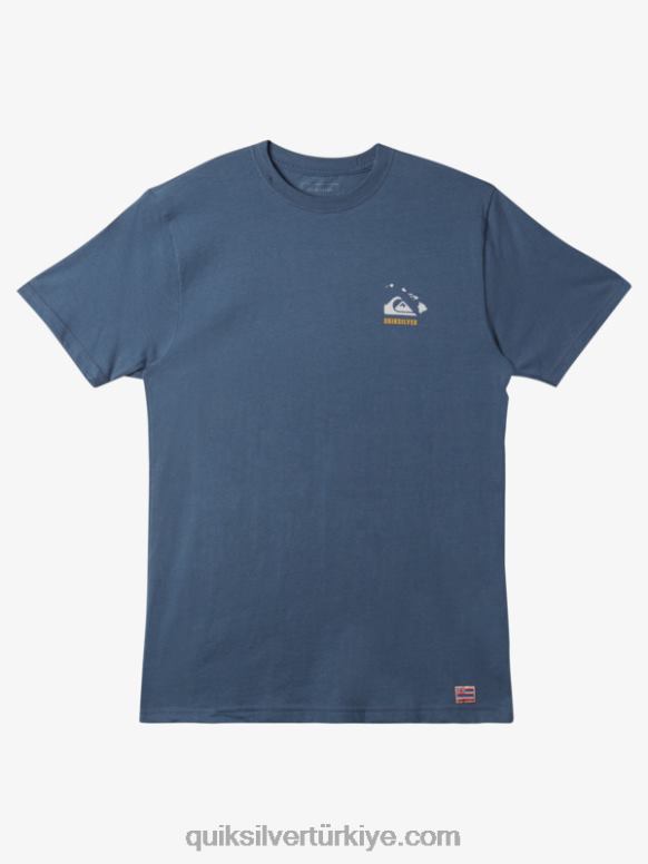 Quiksilver erkekler hawaii kurtulan t-shirt 226FP118 Bering Denizi