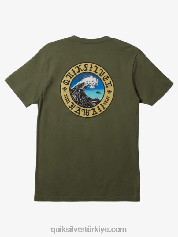Quiksilver erkekler hawaii su duvarı t-shirt 226FP277 dört yapraklı yonca