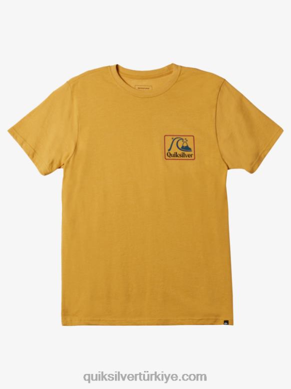 Quiksilver erkekler kare biz mod tişört 226FP1190 parlak altın funda