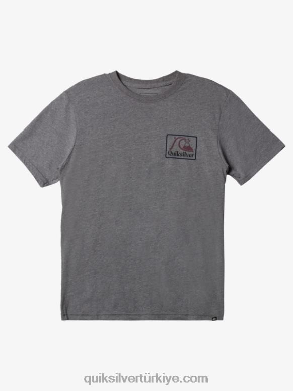 Quiksilver erkekler kare biz mod tişört 226FP1191 orta gri melanj