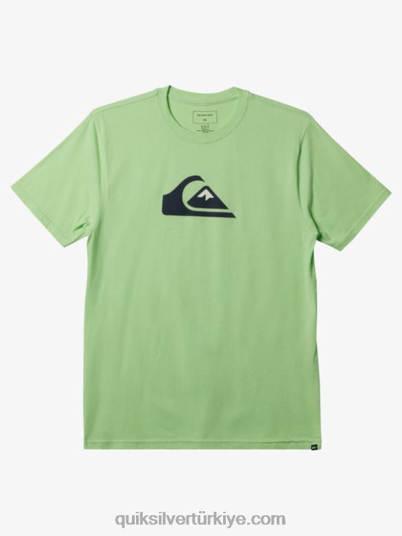 Quiksilver erkekler logolu tişört 226FP196 cennet yeşili