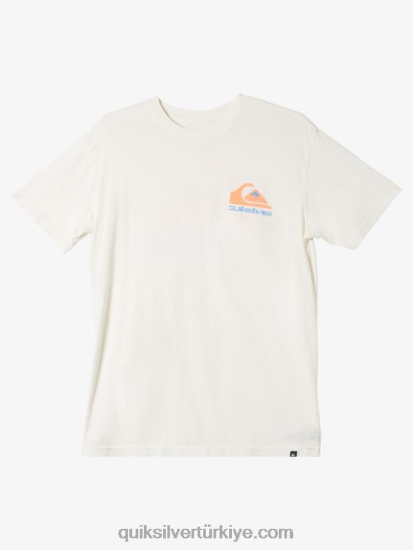 Quiksilver erkekler omni logolu tişört 226FP986 Antik Beyaz