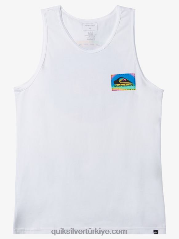 Quiksilver erkekler renk akışı tişört 226FP1332 beyaz