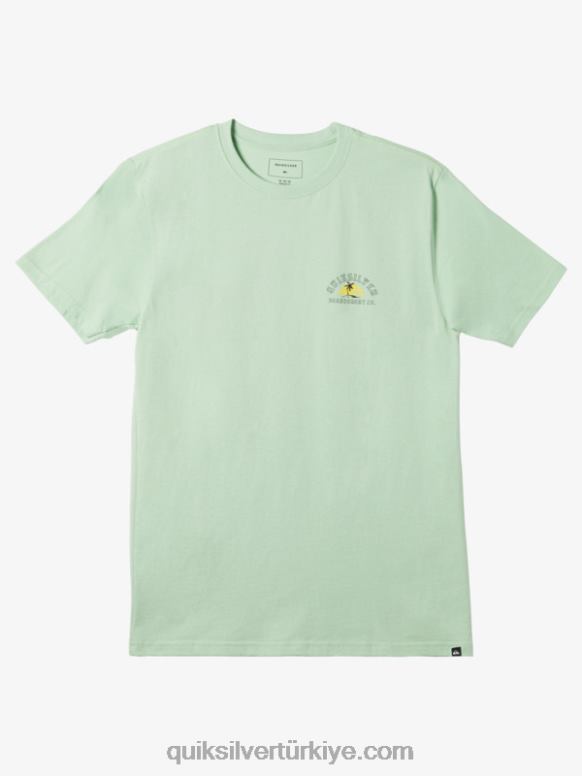 Quiksilver erkekler sonunda yalnız tişört 226FP1162 ladin taşı