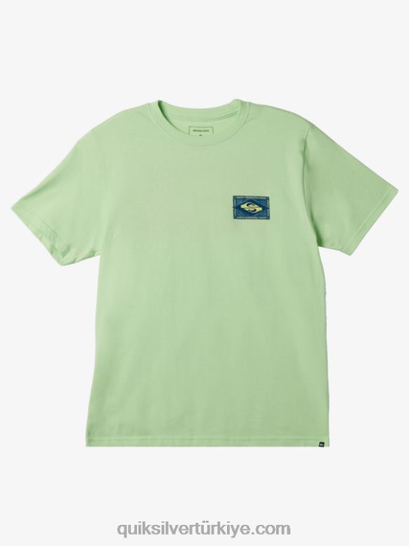 Quiksilver erkekler titreşimli tişört 226FP178 cennet yeşili