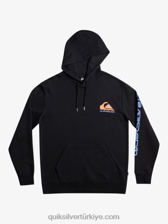 Quiksilver erkekler omni logo kapüşonlu polar üst kazak 226FP1032 siyah