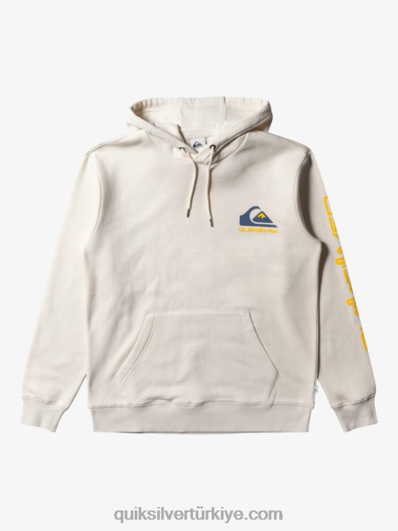 Quiksilver erkekler omni logosu kapşonlu 226FP642 huş ağacı